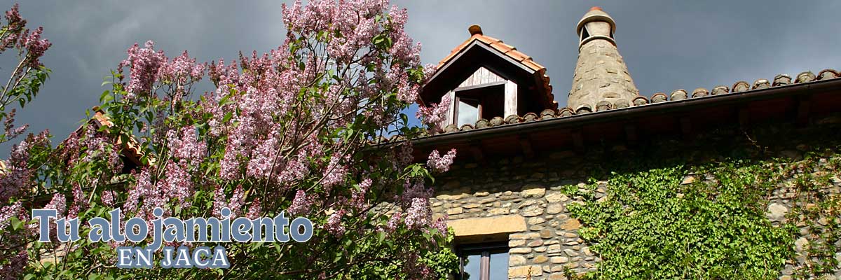 Alojamiento rural en el Pirineo aragonés "Los Cerezos" Jaca - Pirineos